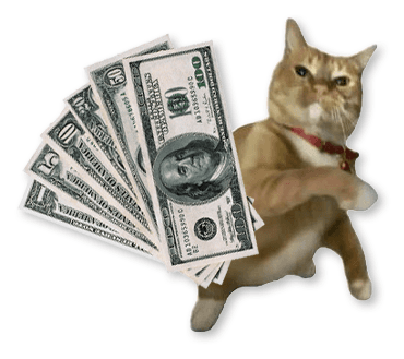paycat — cat holding cash